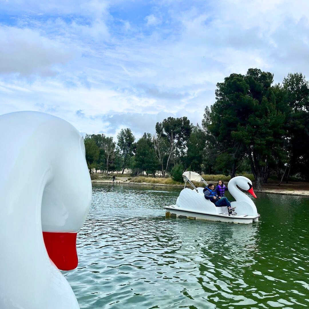 If you're in Orange County, check out our swan pedal boats for a fun time outdoors 🦢☀

No reservations required!

For more info:
bit.ly/yorba-regional

📷: huddlebee

#wheelfunrentals #familyfun #thingstodo #boatrentals #exploreoutdoors #yorba #anaheim #orangecounty #orange