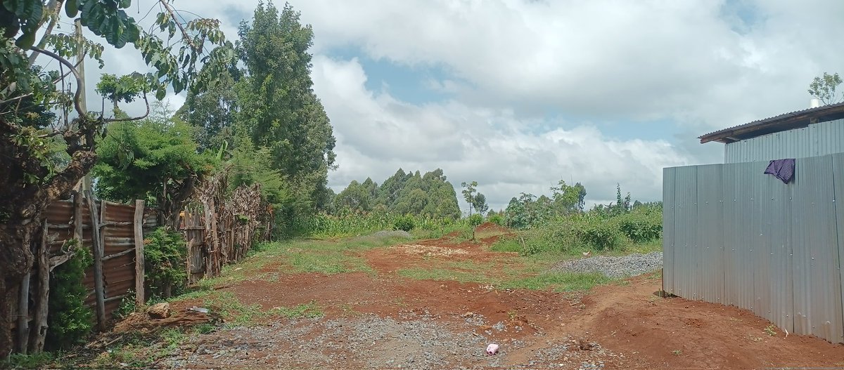 Kinoru 0.37acres (equivalent to exactly three 1/8th-acre plots) #forsale with ready title selling <a href="/Kes/">Alex B.</a>. 12 Million.

Call/Whatsapp 0722 564255
Visit: rakna.co.ke