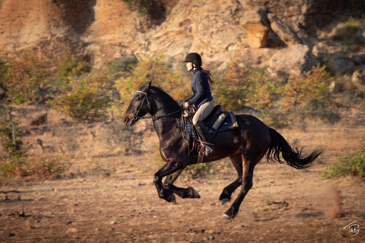 Hands down the best way to do an African Safari. Big thanks to <a href="/HorizonHorsebac/">Horizon Horseback</a> for everything! ♥️
