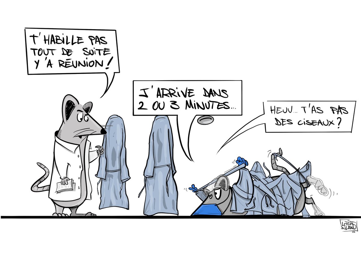 leratdulabo's tweet photo. Le dessin du week-end .. Et surtout, sortez couverts ! 😅
#leratdulabo #BD #illustration #science #biologie #labo #techdelabo #humour #blouse #sortezcouverts https://t.co/57gopVKniX