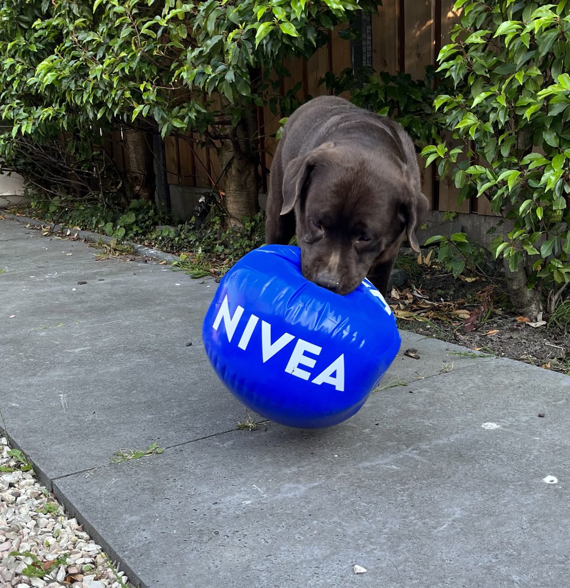 Bart vond de strandbal van #Nivea érg leuk. Alle 55 seconden!