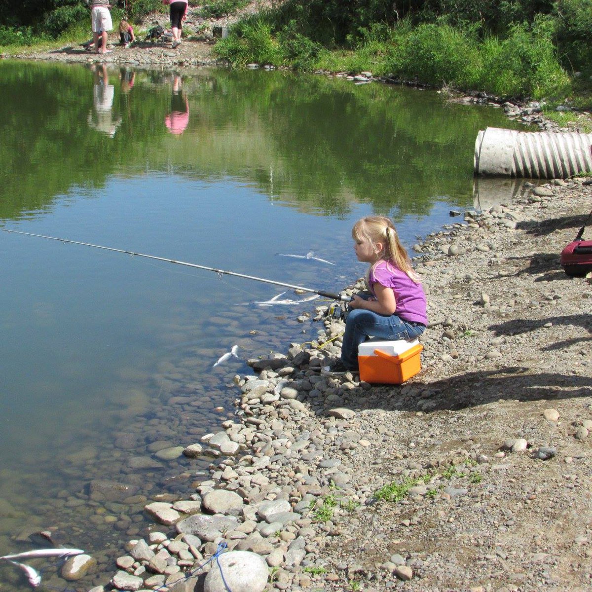 Forest Service NW on Twitter: "RT @UmatillaNF: Join us from 8 a.m. to