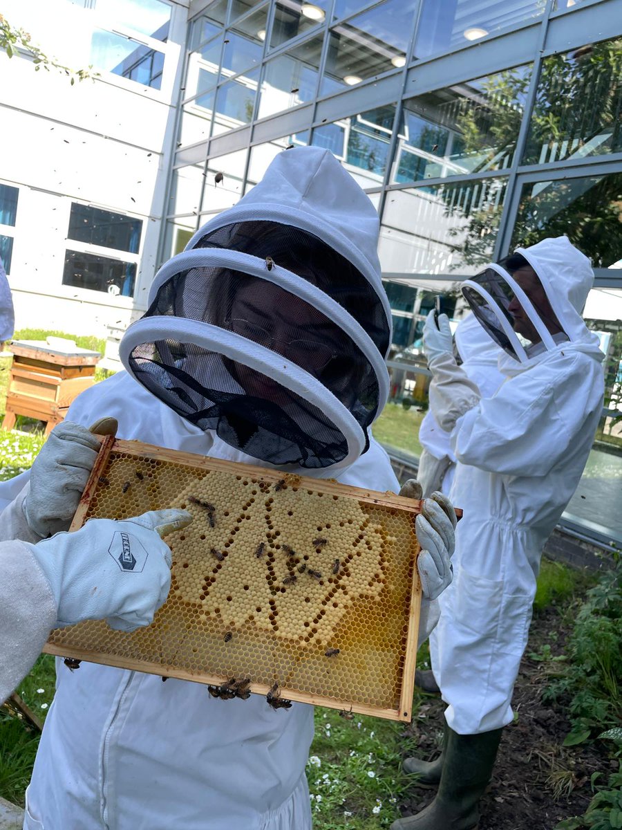 Wonderful wellBEEing session 🐝🥰 #DHS #staffwellbeing #edutwitter