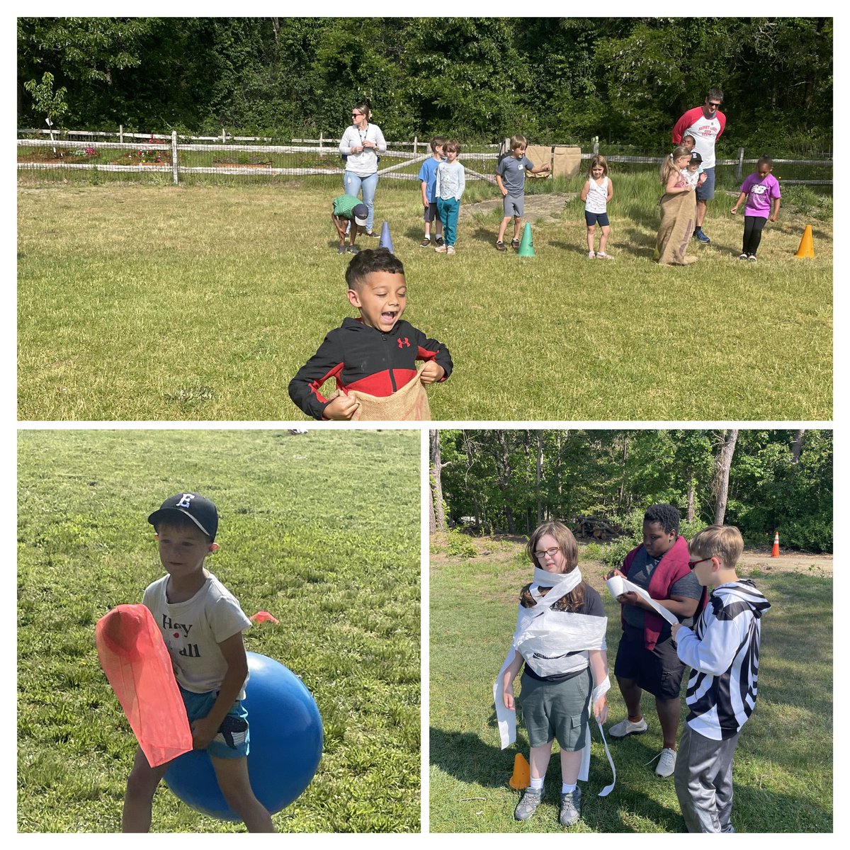 Great fun was had by all at the EES field day!
