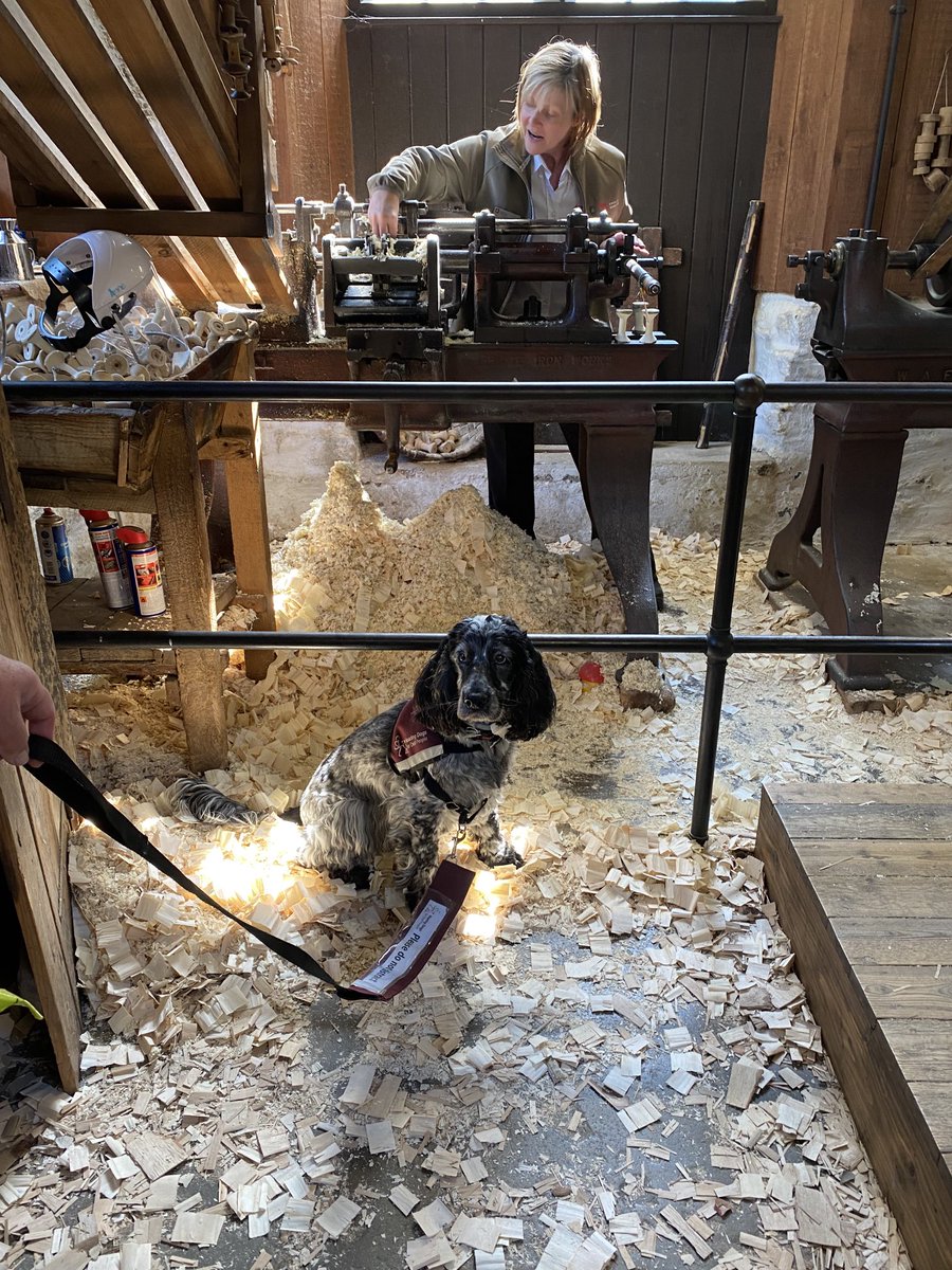 Margo Harrison tweet media