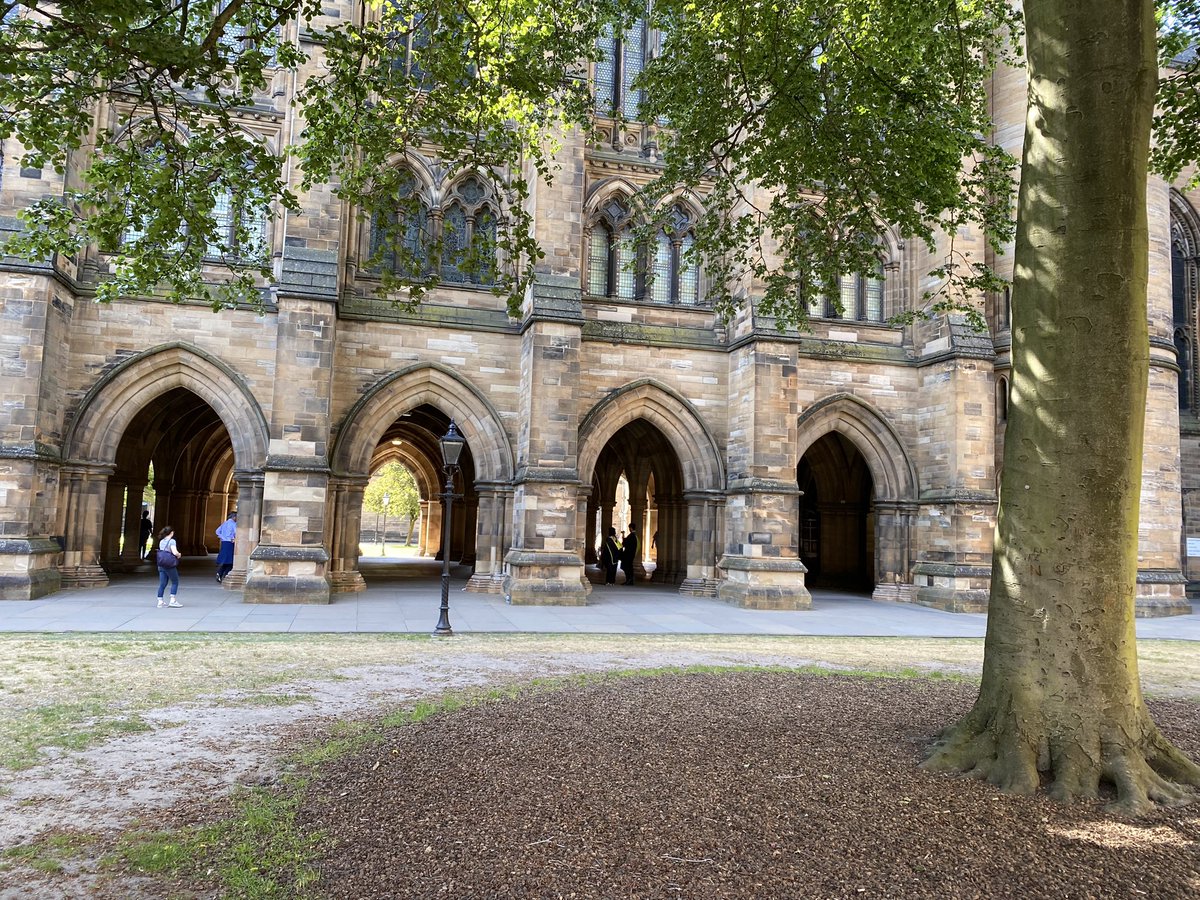 Anatomy Fundamentals tweet media