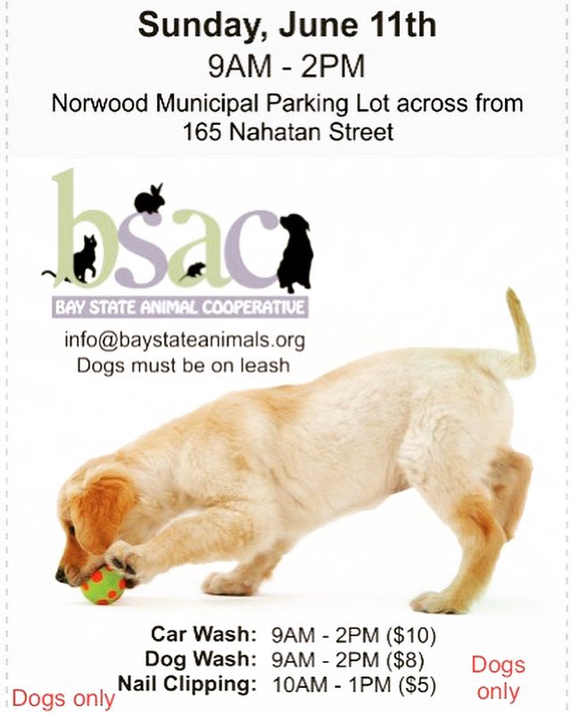 BayStateAnimals's tweet photo. SUNDAY!!
Charity Car &amp; Dog Wash!!

BSAC Dog &amp; Car Wash is happening soon 🐕🐶🐩🐾 🚗 🚘 🚙 

-Sunday June 11th
-9am to 2pm
-Norwood Municipal Parking Lot
* see ad for times and pricing

#dogandcarwash #bsac #baystateanimalcooperative #norwoodma #norwoodmass #norwoodmassachusetts https://t.co/1gaFritRvB