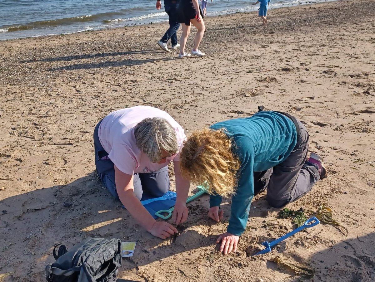 STEMDundee tweet media