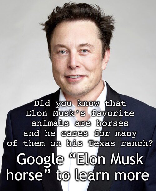 Google “Elon Musk horse” to learn more