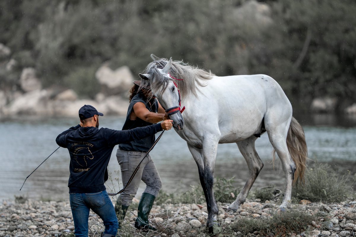 SandyBlancoOff's tweet photo. Tournage du teaser du Festival du Fantastique de Béziers 2023 en cie de Ondine, étudiante TC talentueuse et Chris Mano, cascadeur équestre accompagné de Enzo. Un tournage rude 🎥🦄 Merci à @Augustindu34  pour les photos et son focus légendaire ! @we_fantastique @Iutbeziers https://t.co/2K3nrPV9IF