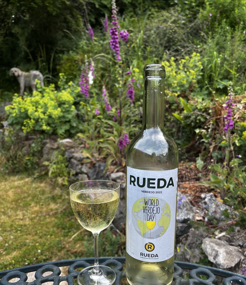 SusyAtkins's tweet photo. Happy #worldverdejoday! It’s been quite the week for Spanish whites for me. #tasterueda ⁦@DORueda⁩ ⁦@DORuedaUK⁩ #verdejo https://t.co/hX6WIH4v3j