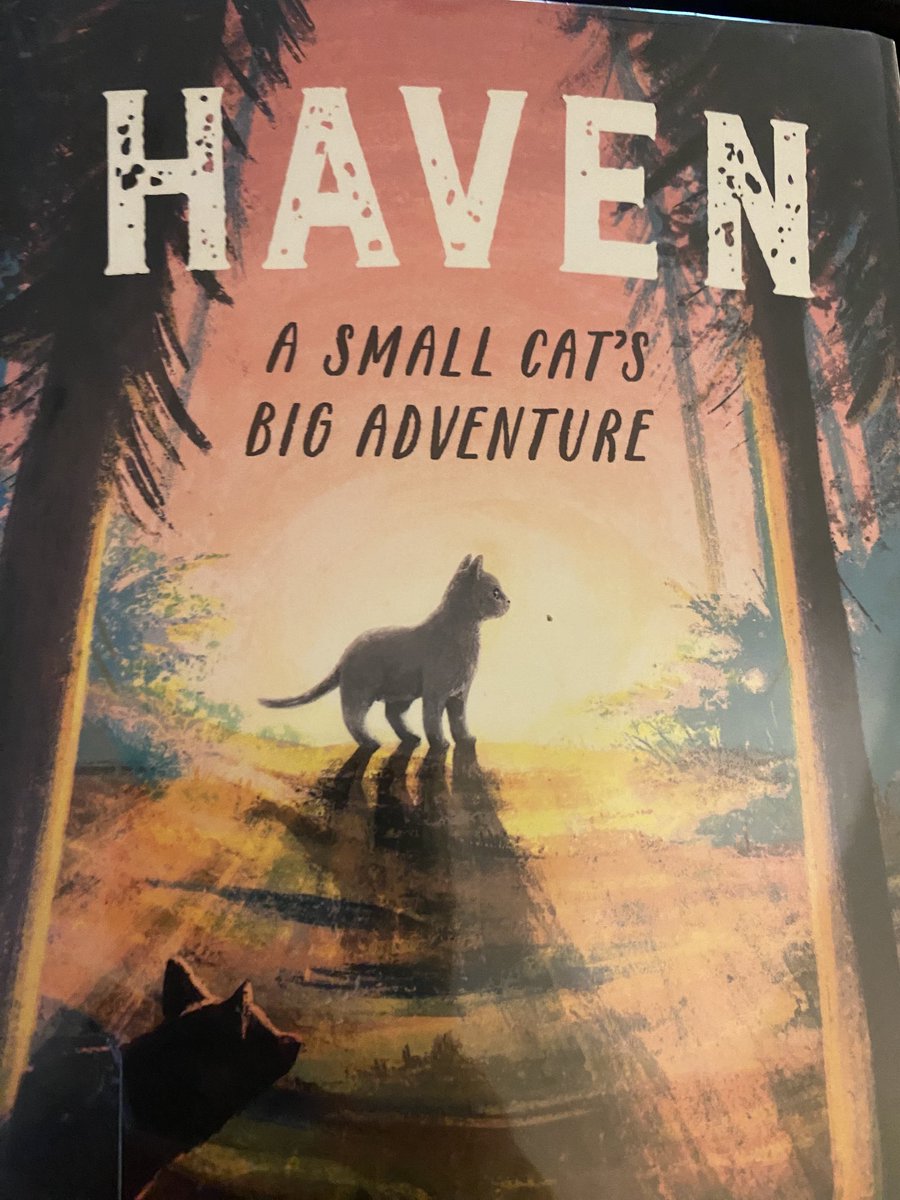 Davis Elem. Library tweet media