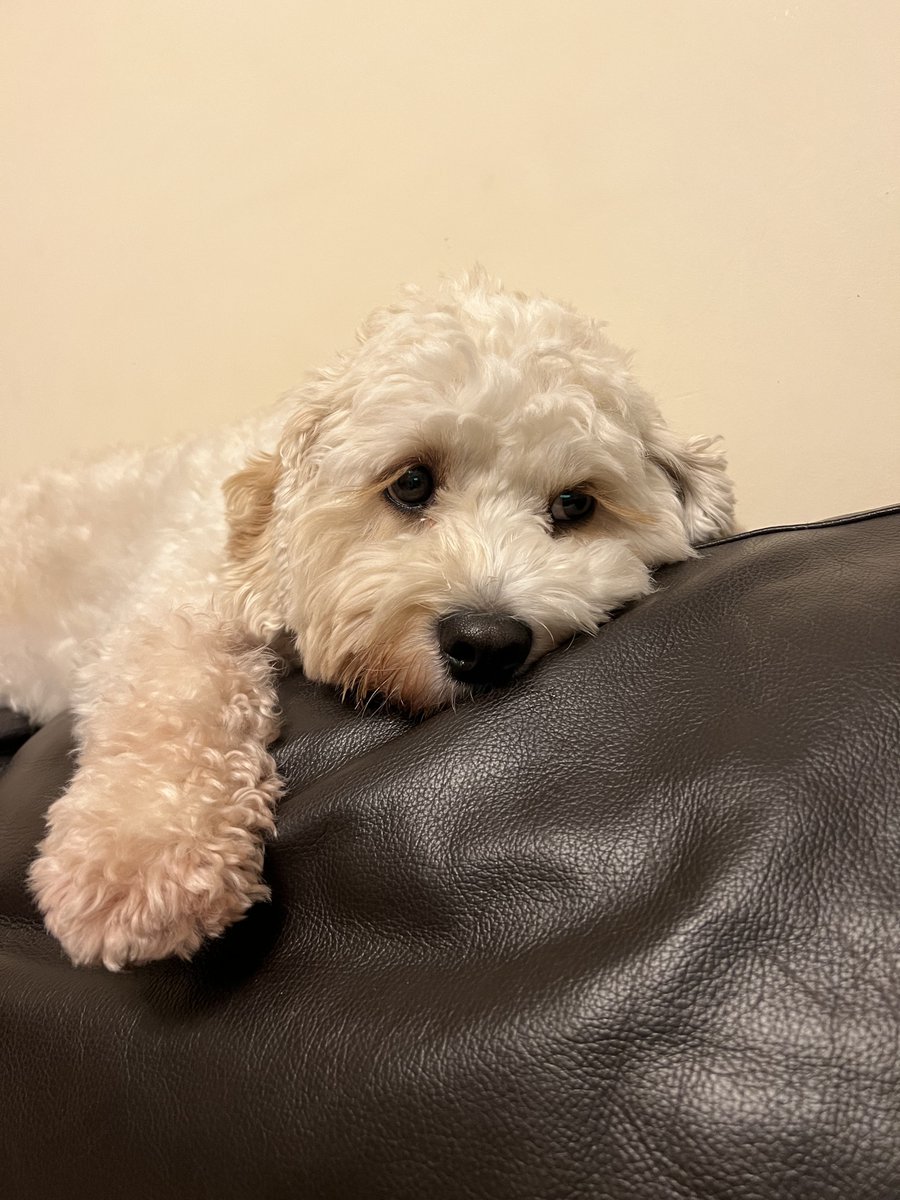 Me (the social media manager) waiting for the CSGO season to come back  🥲