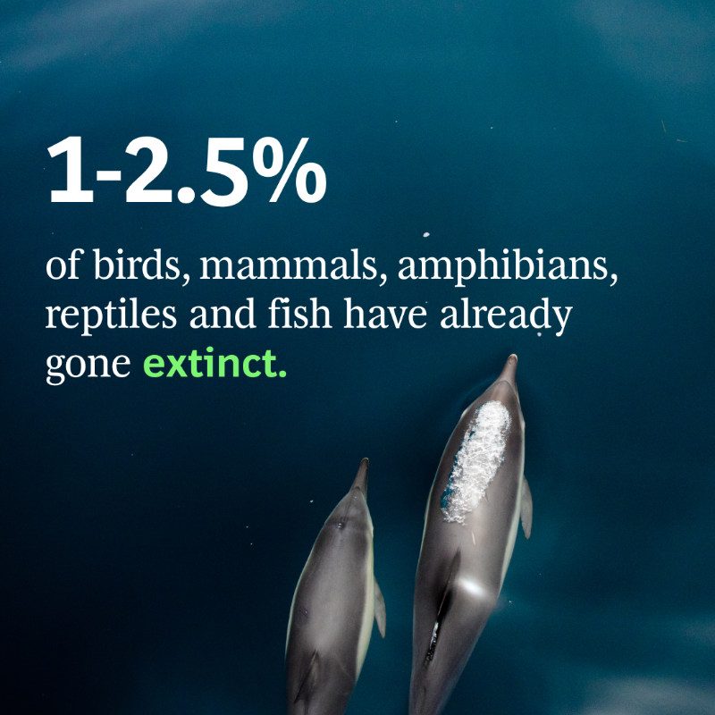 BCG's tweet photo. Supporting biodiversity is a win-win for both businesses and the environment. 💪

By developing a comprehensive approach to biodiversity, companies can seize opportunities to expand into new markets and reduce costs. Read more. ⬇