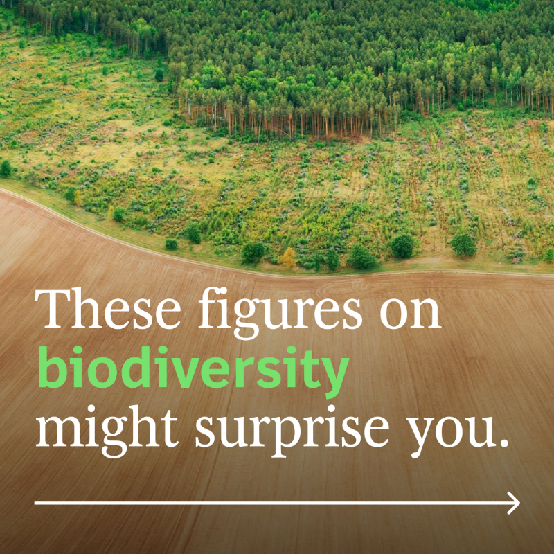 BCG's tweet photo. Supporting biodiversity is a win-win for both businesses and the environment. 💪

By developing a comprehensive approach to biodiversity, companies can seize opportunities to expand into new markets and reduce costs. Read more. ⬇