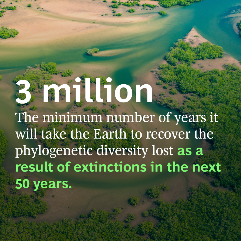 BCG's tweet photo. Supporting biodiversity is a win-win for both businesses and the environment. 💪

By developing a comprehensive approach to biodiversity, companies can seize opportunities to expand into new markets and reduce costs. Read more. ⬇