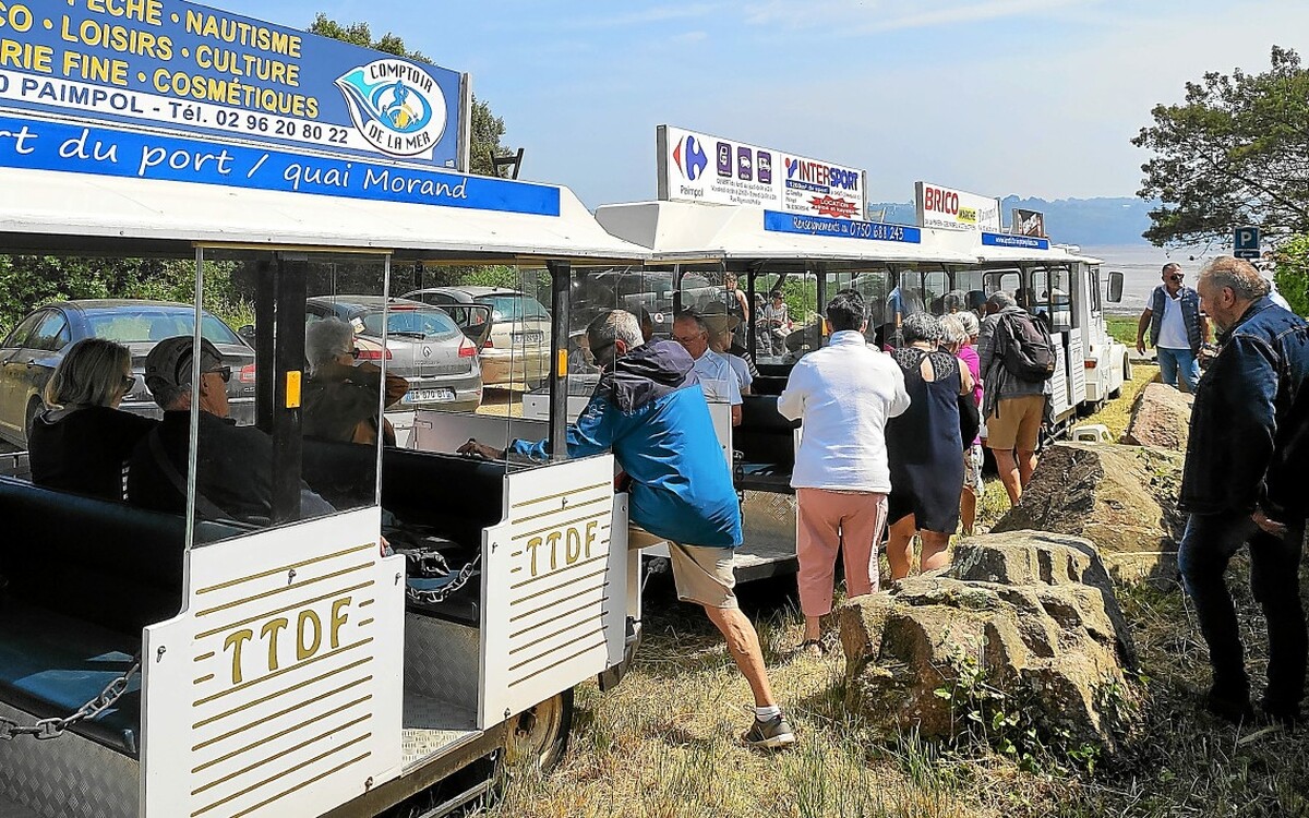 À Paimpol, le petit train fait des heures sup’ pour répondre à la demande - Paimpol – actualités et informations locales en direct | Le Télégramme
➡️ go.letelegramme.fr/kjYJ