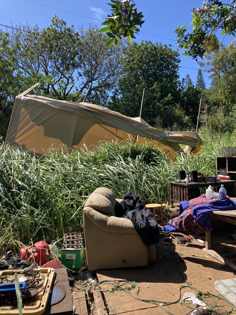 JazzMetaX's tweet image. TENT - 1121099519

#Airdrop registration : drop your #Algorand wallet below to qualify &amp;amp; opt into the ASA # above 

Like / Share for the culture ~ 

#AlgoFAM $PEPE $COOP #MemeCoin