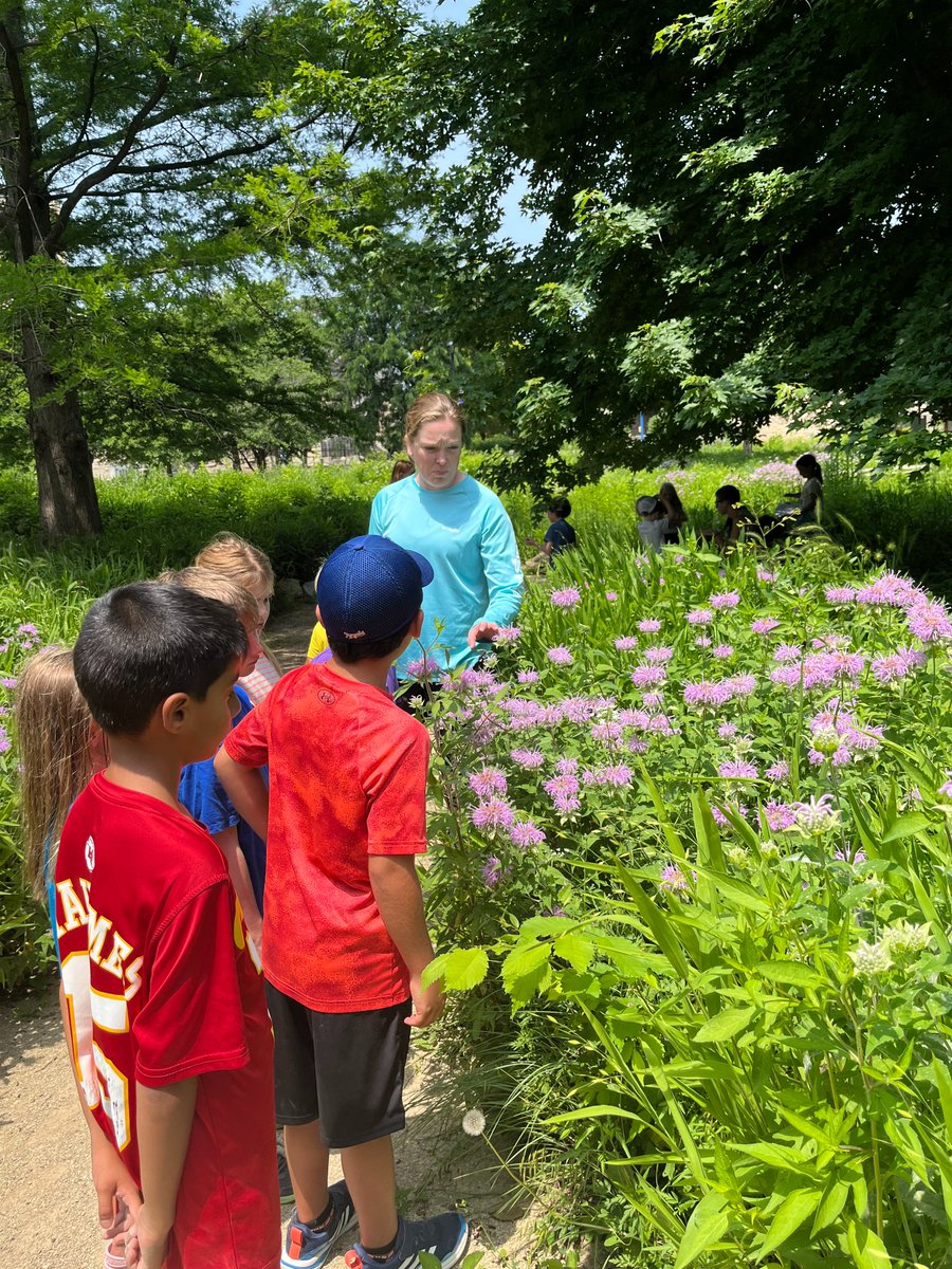BeachMuseum's tweet photo. We had a great group of young friends from #MHK Play Studio Summer Camp visit the #museum to view “Unspoken Bonds” exhibition and engage in nature art activity in the #Meadow. We love seeing young artists find inspiration at the #BeachMuseumOfArt. Thank you for visiting us today! https://t.co/VpjSzA1R6g