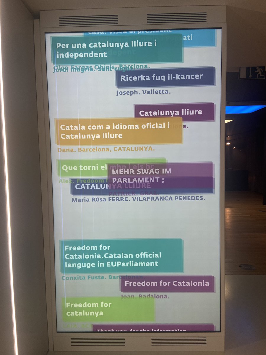 Patrick from Graz, Austria, wants more “swag” in the European Parliament.