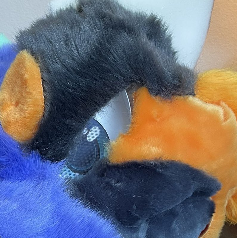DireWolfDanni's tweet photo. #FursuitFriday sneak peak at Salem!!!! https://t.co/GaCsc6gJqW