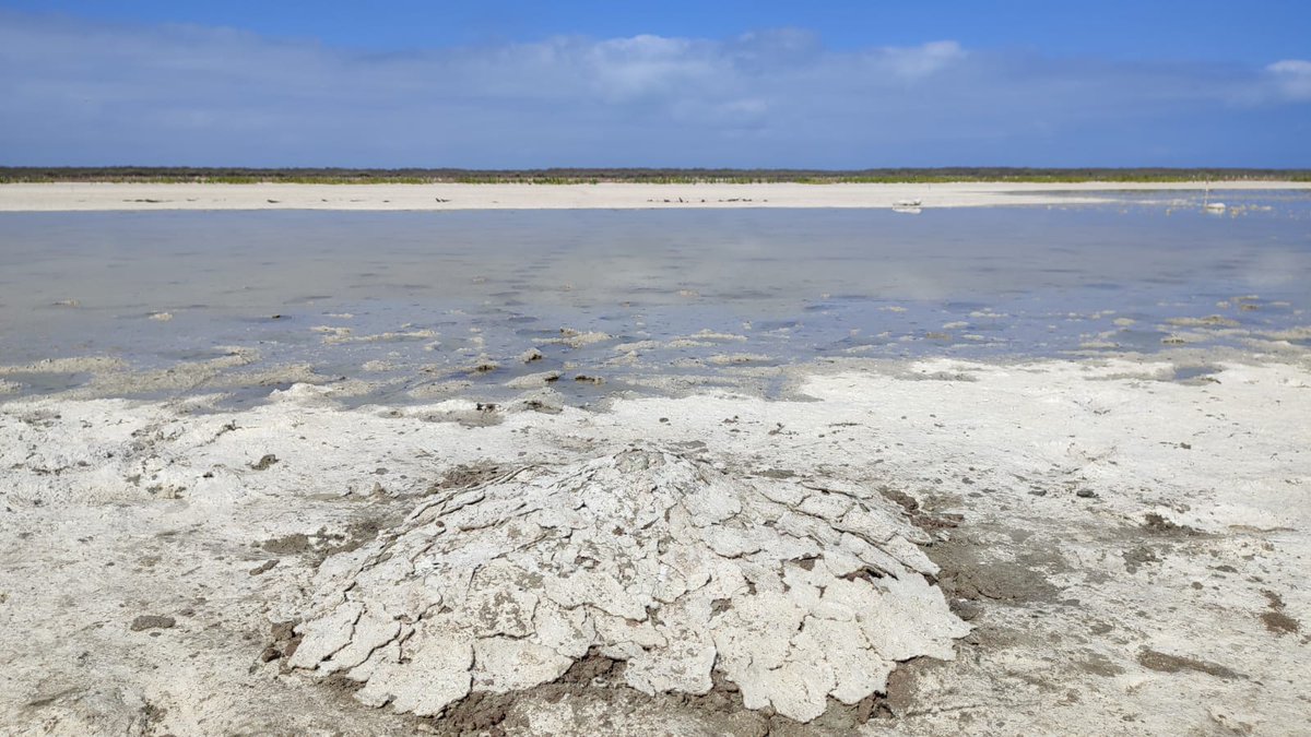 Medardo Cruz tweet media