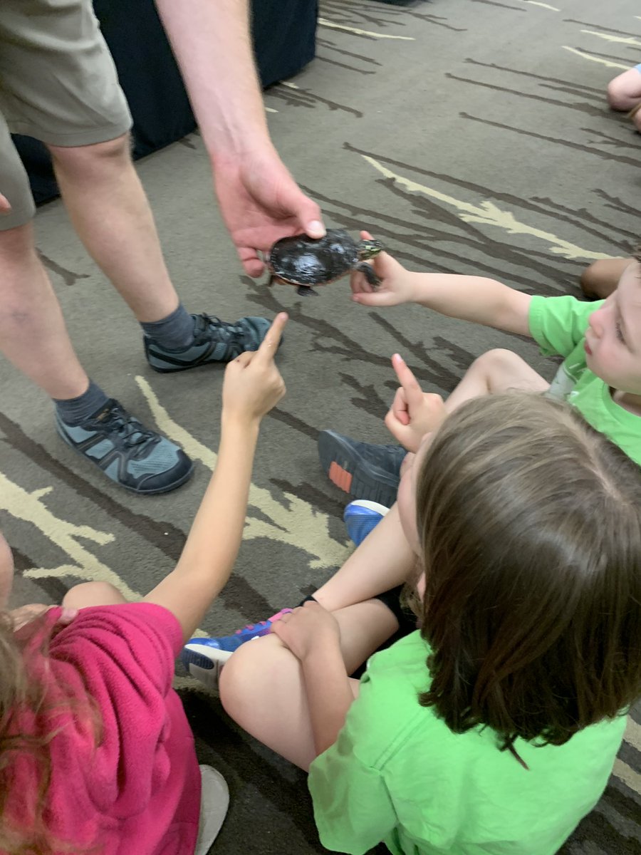 MrsAbermanis's tweet photo. We pretended to be animals to learn about their adaptations! We also met some animals. https://t.co/AfNlvL8NDj