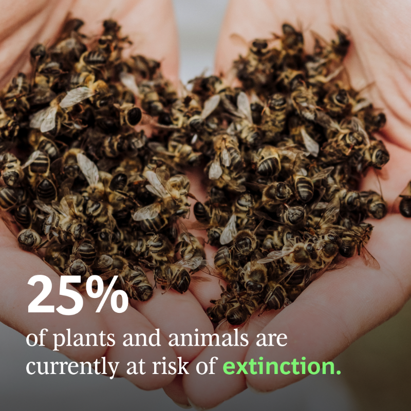 BCG's tweet photo. Supporting biodiversity is a win-win for both businesses and the environment. 💪

By developing a comprehensive approach to biodiversity, companies can seize opportunities to expand into new markets and reduce costs. Read more. ⬇