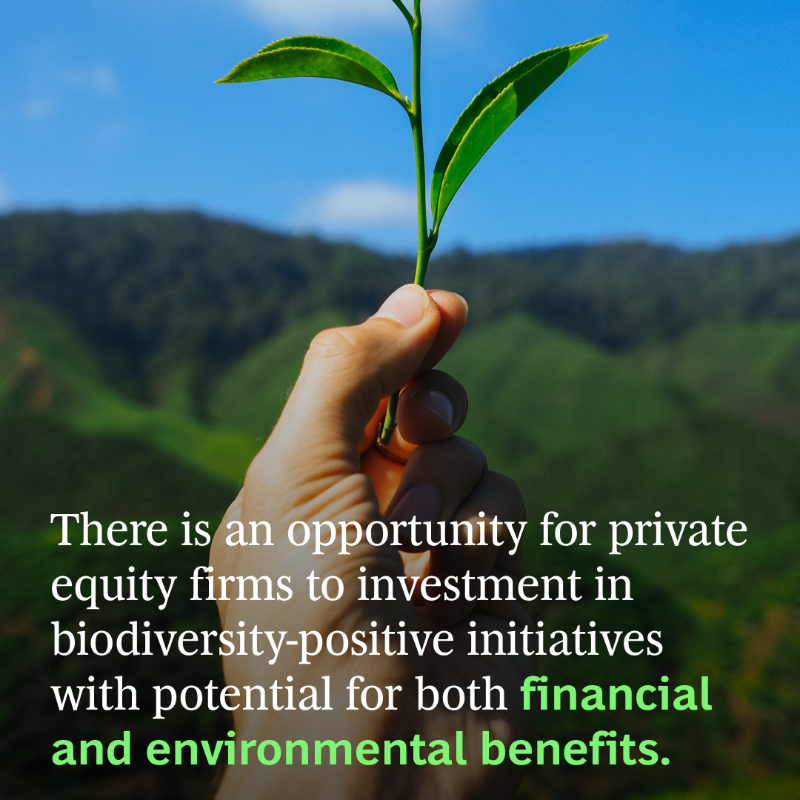 BCG's tweet photo. Supporting biodiversity is a win-win for both businesses and the environment. 💪

By developing a comprehensive approach to biodiversity, companies can seize opportunities to expand into new markets and reduce costs. Read more. ⬇
