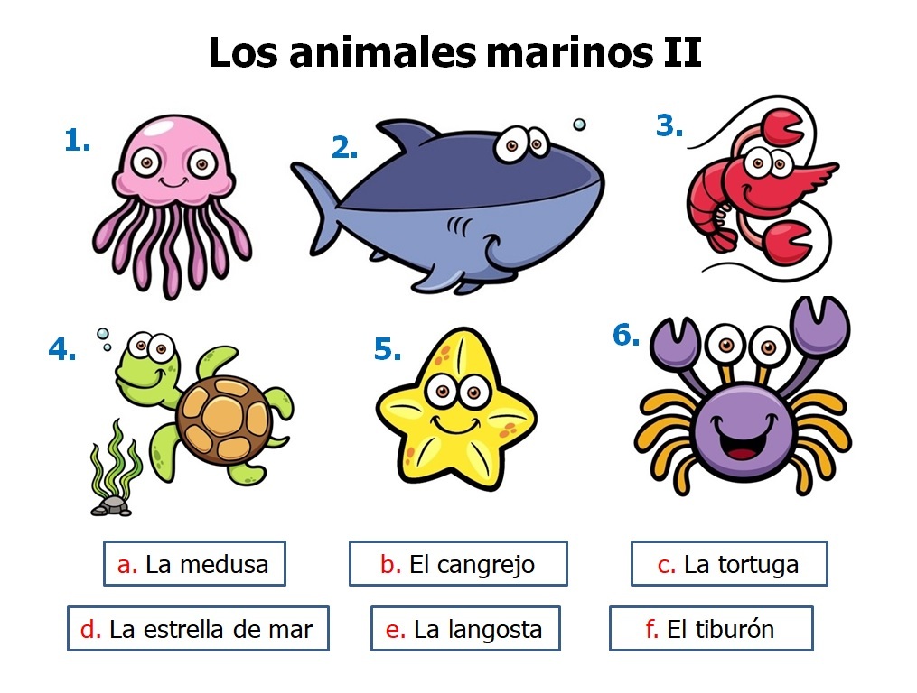 SpanishMucho's tweet photo. 🇬🇧*Sea animals II - Match / Answers: https://t.co/xmHXf74KVF Vocabulary and fun activities related to this topic here: https://t.co/tRcfEkqzZ0 Enjoy!
#spanish #ilovespanish #spanishisfun #animalesmarinos #sealife #seaanimalsinspanish #spanishvacation #YoAmoElEspañol #ilovesea https://t.co/wU9zPmDi62