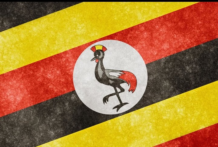 National Heroes' Day is a public holiday in the Republic of Uganda observed on June 9th.
The day commemorates those who lost their lives in the Ugandan Bush War (1981 - 1986). #HerosDay23