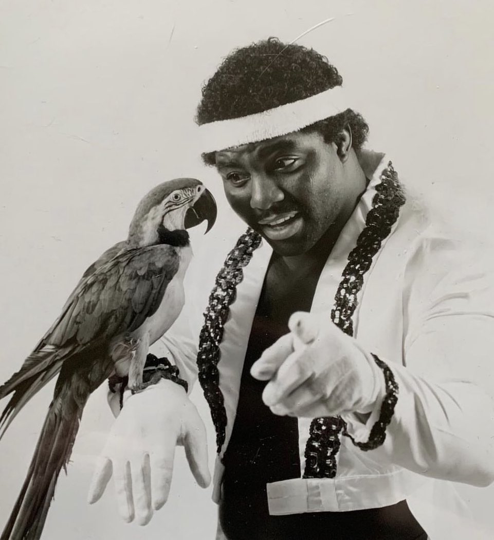 The best bird in town!