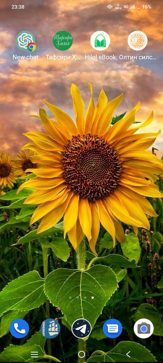 the_hedon1st's tweet image. Ekran rasmingizni qoldiring