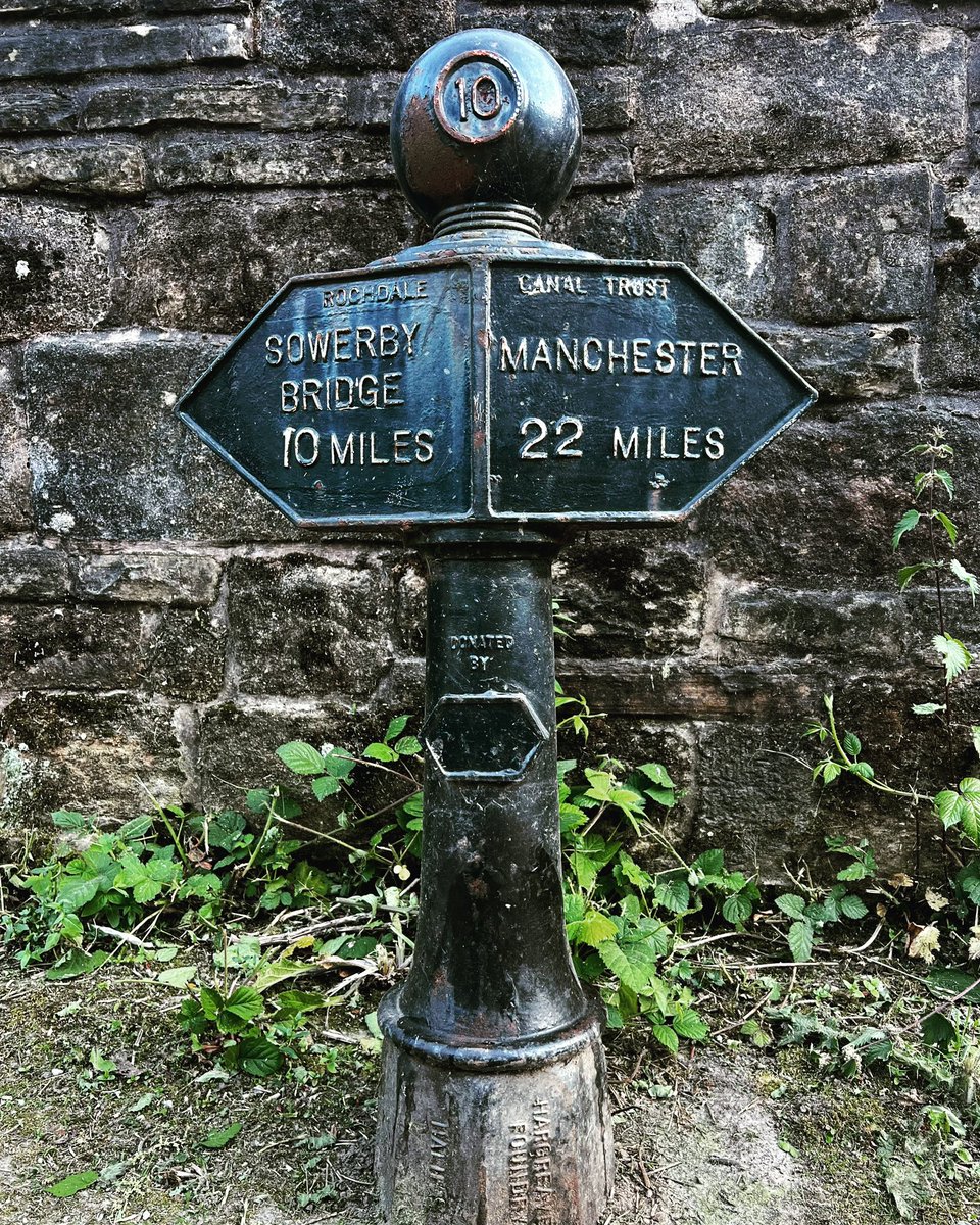 WhatDaveDid's tweet image. Time Machine