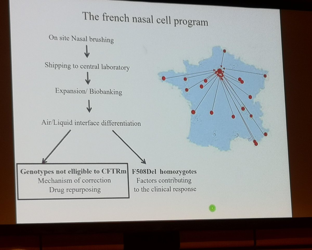 vaincrelamuco's tweet photo. Encore une journée bien remplie à la conférence #ECFS2023 de Vienne !
Parmi les travaux présentés : l'étude de la réponse à #Kaftrio des cellules nasales des patients non éligibles par le Pr. I Sermet @FiliereMucoCFTR et l'overview de l'impact des #modulateurs au-delà des poumons https://t.co/Kk7OgJGVWy