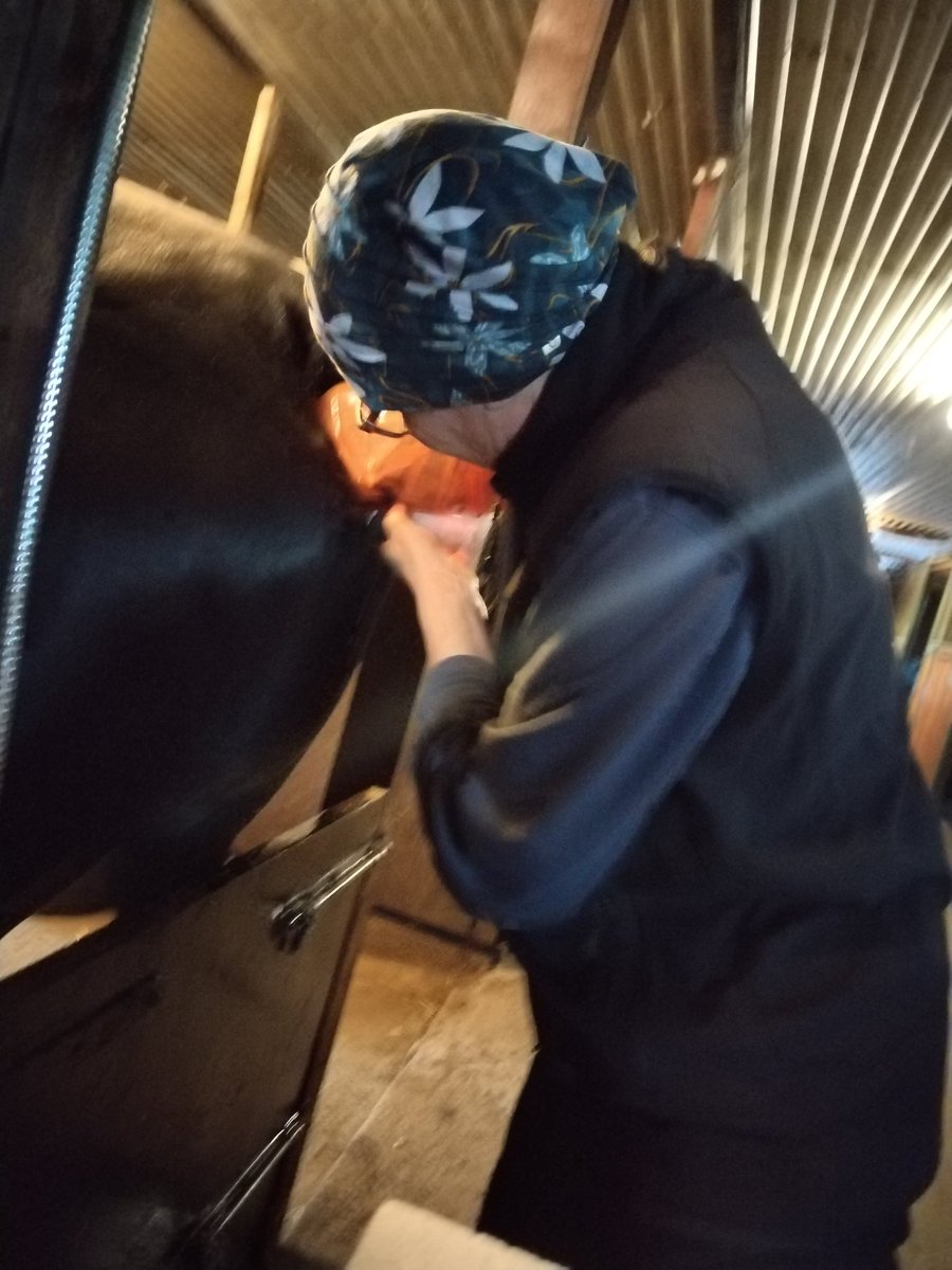 VarsakujanTila1's tweet photo. Hevoskasvattaja Susanna Raevaaaran kasvatti voitti juuri Joensuun #ravit lähdön ja heti perään hän siemensi uusia kasvatteja #hevoskasvattaja #calgarygames #uniclove https://t.co/5LgNmD8fOn