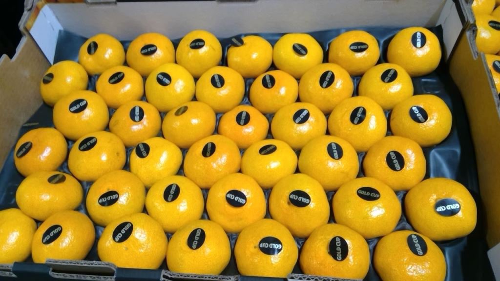 Pacific Produce tweet media