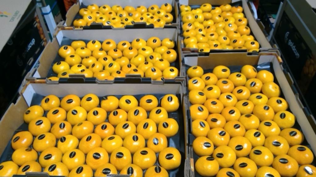 Pacific Produce tweet media