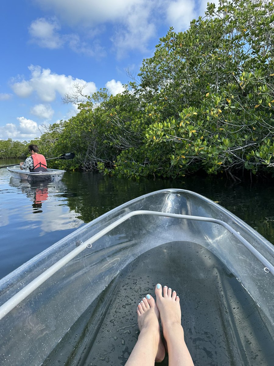 Natalie Ast tweet media