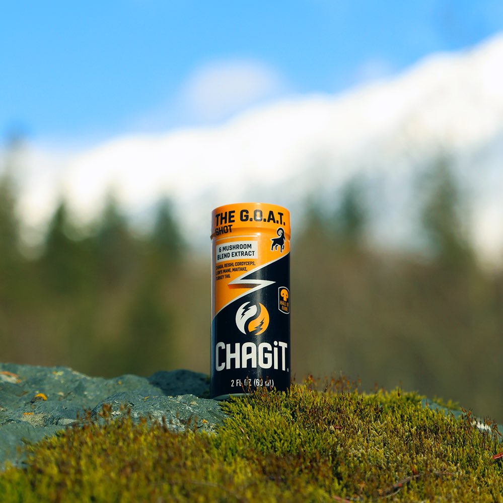 chagit360's tweet photo. It’s time to elevate your wellness with the best in functional mushroom nutrition. https://t.co/l9vFqWWsm8