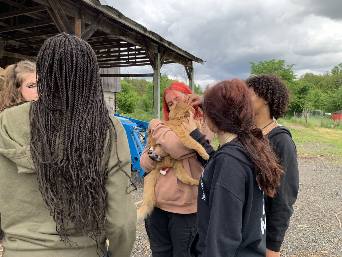 Personalized Learning Centre OCSB tweet media