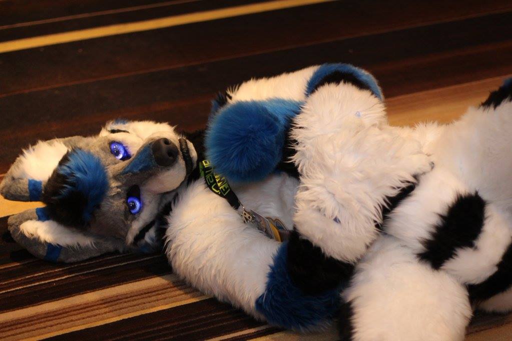 Classic Isaac likes to cuddle tails. Even his own!