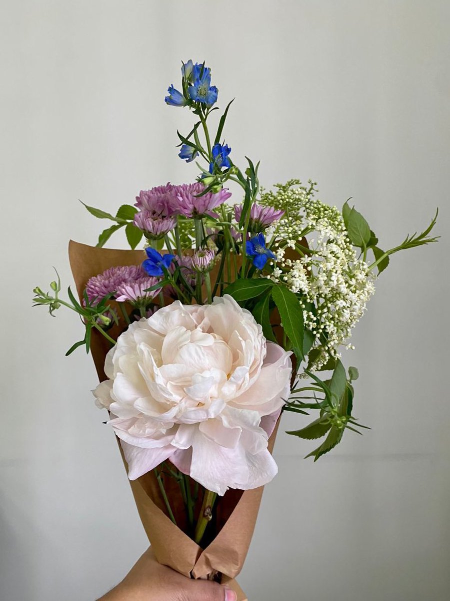 jannahjailani's tweet photo. This is our usual weekly RM36 bunch - but since Fatimah and I are busy this weekend we’ve limited our slots. Just got two more of these left! Message here or https://t.co/CGA6hS6V2y as usual if you’d like our blooms 🥰 https://t.co/DZYoRB9zt0