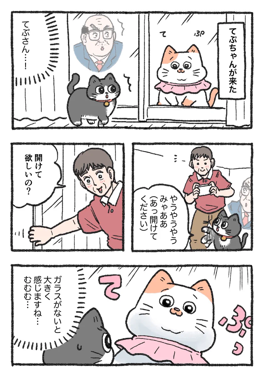「ねこ転」その125が公開！てぷちゃんと背比べするプンちゃんに注目！
