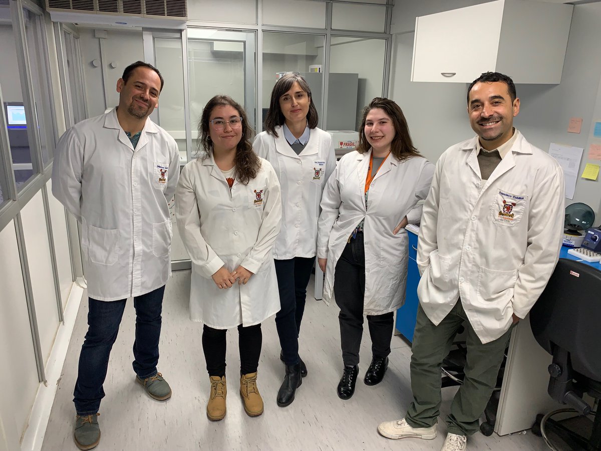 💉🔬¡Descubre cómo la <a href="/usach/">Universidad de Santiago de Chile</a> fortalecerá la vigilancia genómica del #COVID19 en Latinoamérica! 

🧬 Gracias al proyecto de colaboración internacional del Fondo Chile-México avanzamos hacia una respuesta más efectiva contra este #virus

◾ Detalles: bit.ly/3WZRRxx