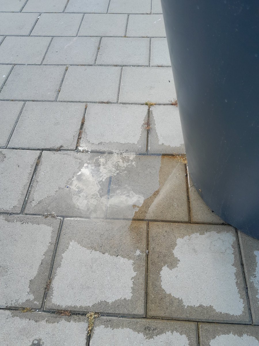 Vraagd zijn verzorging maar het fleurt de buitenruimte enorm op. 👍