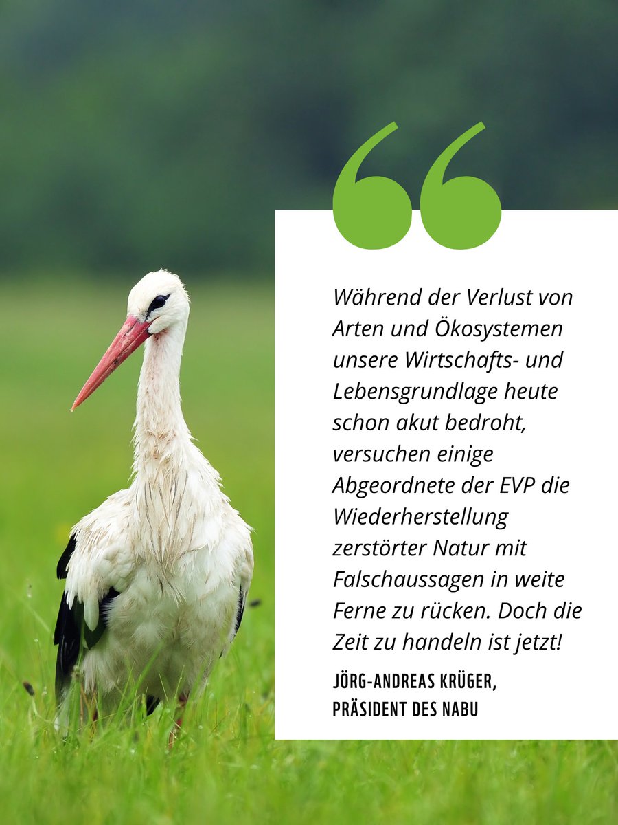 WWF_Deutschland tweet picture