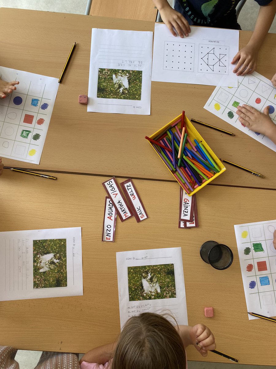 Escola Vall-llobrega tweet media