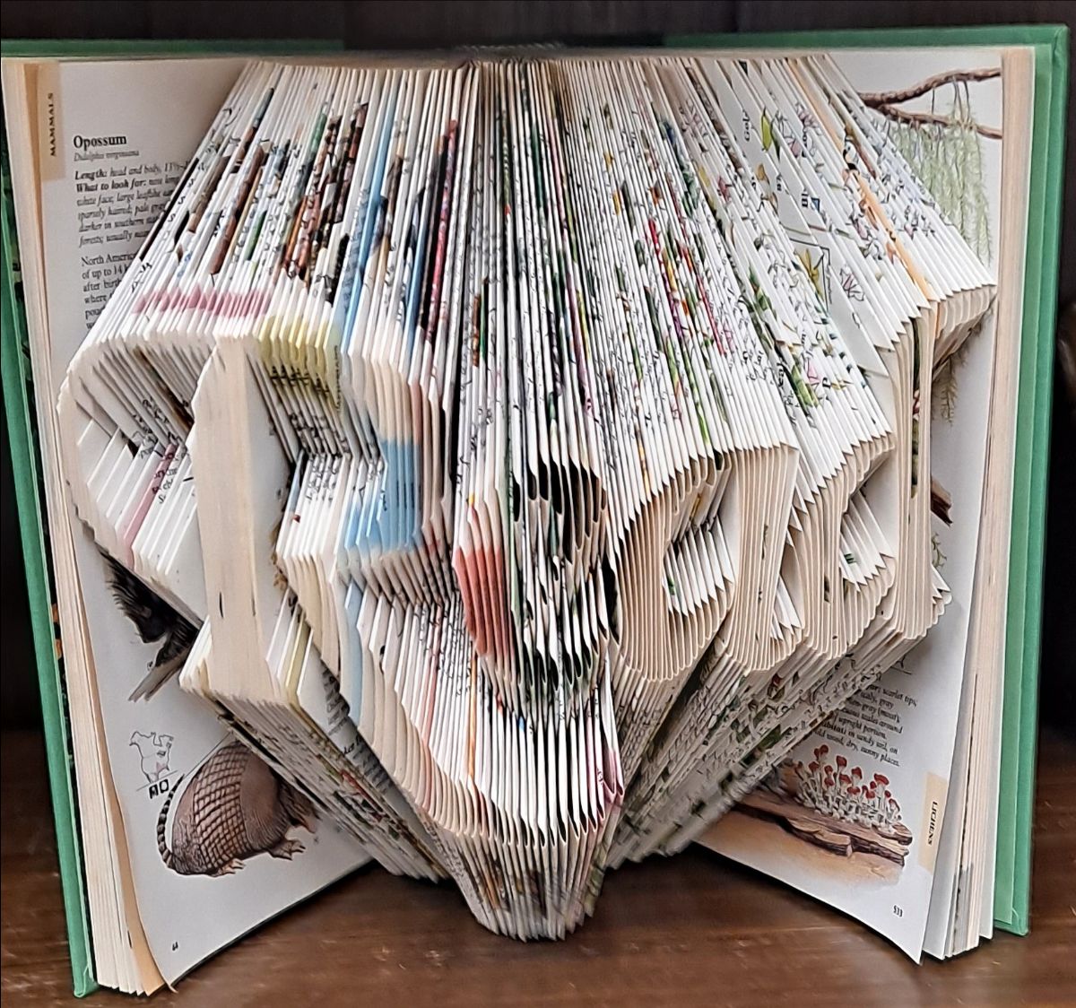 cascolibrary's tweet photo. CPL June Newsletter🌈 - https://t.co/GTPDwTGR5Z https://t.co/idFMmPwKEC