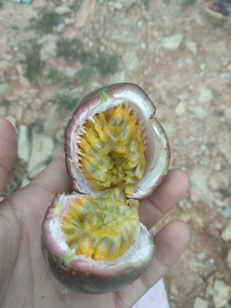 माया मारिस् भन्नूहुने सबैलाइ
 सम्झना सहित यो कोसेली 😉😍